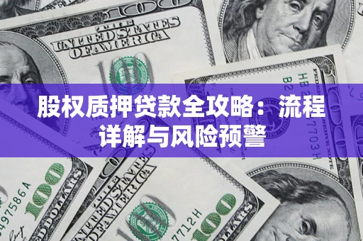 北京股权质押贷款全攻略：流程详解与风险预警