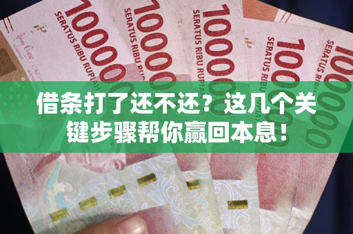 北京借条打了还不还？这几个关键步骤帮你赢回本息！