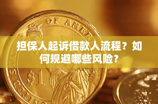 北京担保人起诉借款人流程？如何规避哪些风险？