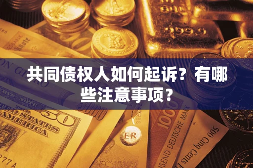 北京共同债权人如何起诉？有哪些注意事项？